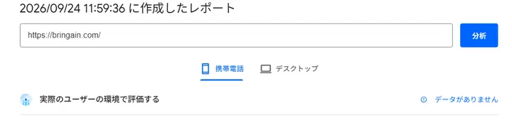 PageSpeed Insightsの実ユーザー評価欄にデータがありませんと表示された画面