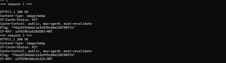 ランダムなcachetestクエリを付けたWebP画像で1回目と2回目ともHITを確認したPowerShell画面
